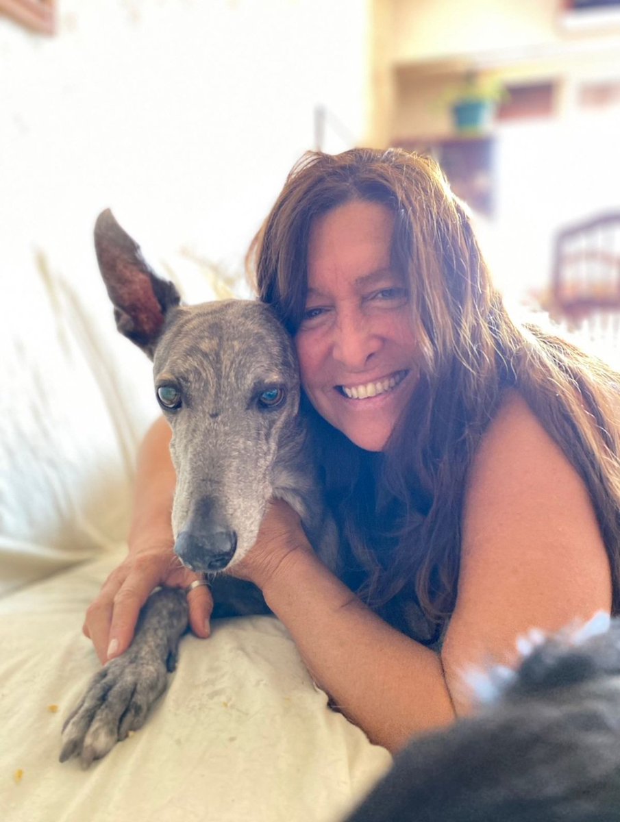 Hola gente, mi nombre es Patricia ,soy profe de matemática y rescatista. Estoy buscando alquilar casita con fondo ya sea en caba o zona norte ,mi intención es hacer de mi hogar un mini refugio .
A ver algún dueño copado que quiera a los animales
1549692061
Gracias