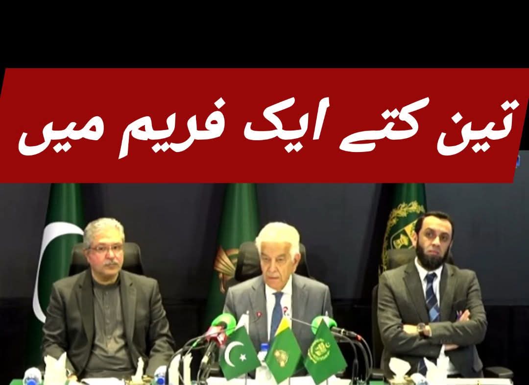 یہ لو جی تین کتے ایک فریم میں اگئے لیکن بڑا کتا اختیار ولی جو 24 گھنٹے مریم نواز کی بوٹ چاٹتی ہے