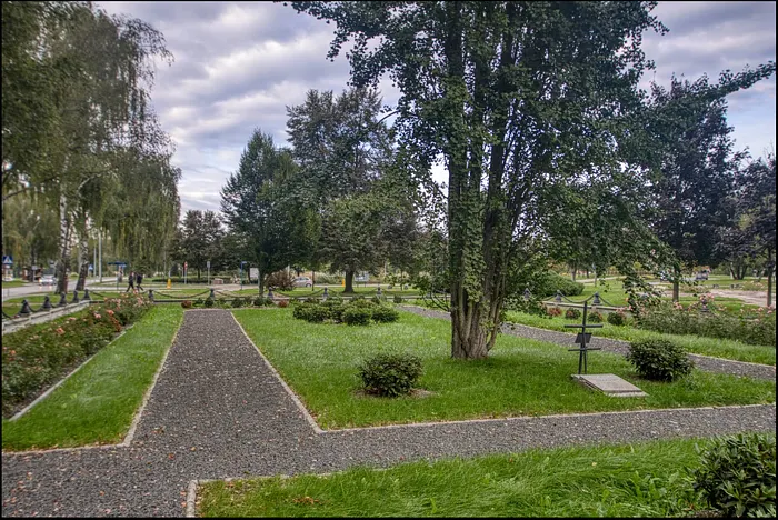 Shmuli Evers tweet media