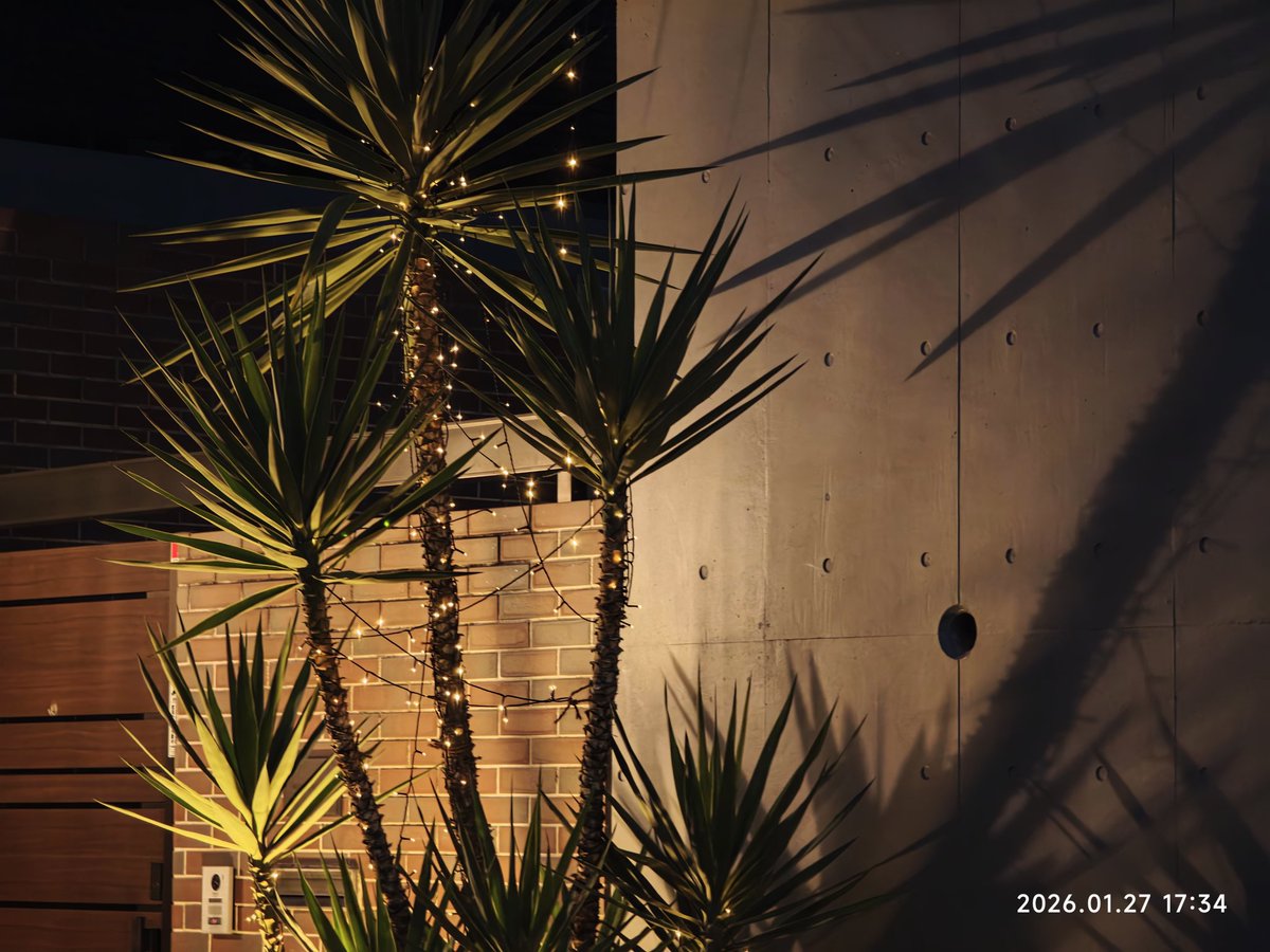 是小H没错了 tweet media