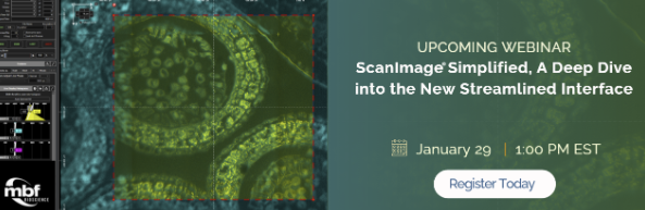 MBF Bioscience tweet media