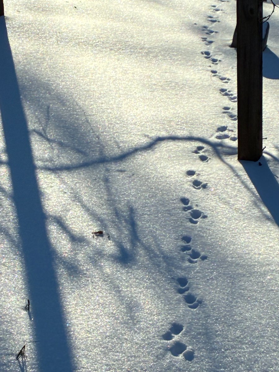 helptheair's tweet image. Air Quality is forecast to be Moderate Tuesday through Friday. #helptheair #breathe