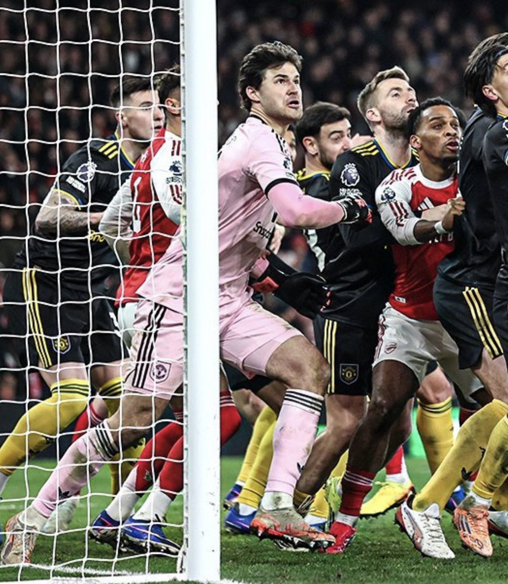 Mulan 🇾🇪 tweet media