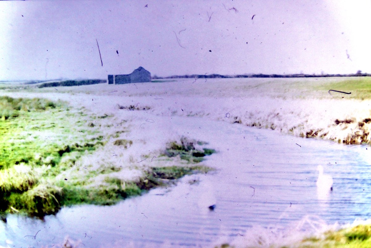 Scanned negatives, slides and photos - photographers unknown.
#vintage #photography