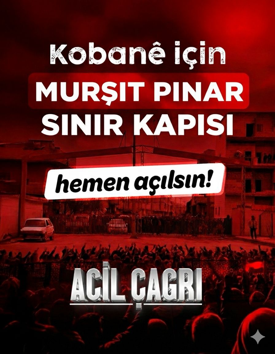Eğitim Sen Mardin Şubesi tweet media