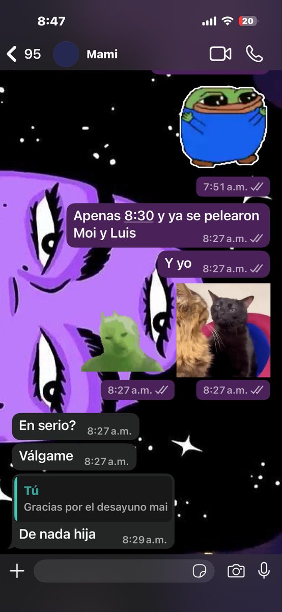 SamCChispas's tweet photo. Se pelean en el gym antes del amanecer, mi más honesta reacción: https://t.co/OMZTXP9kr3