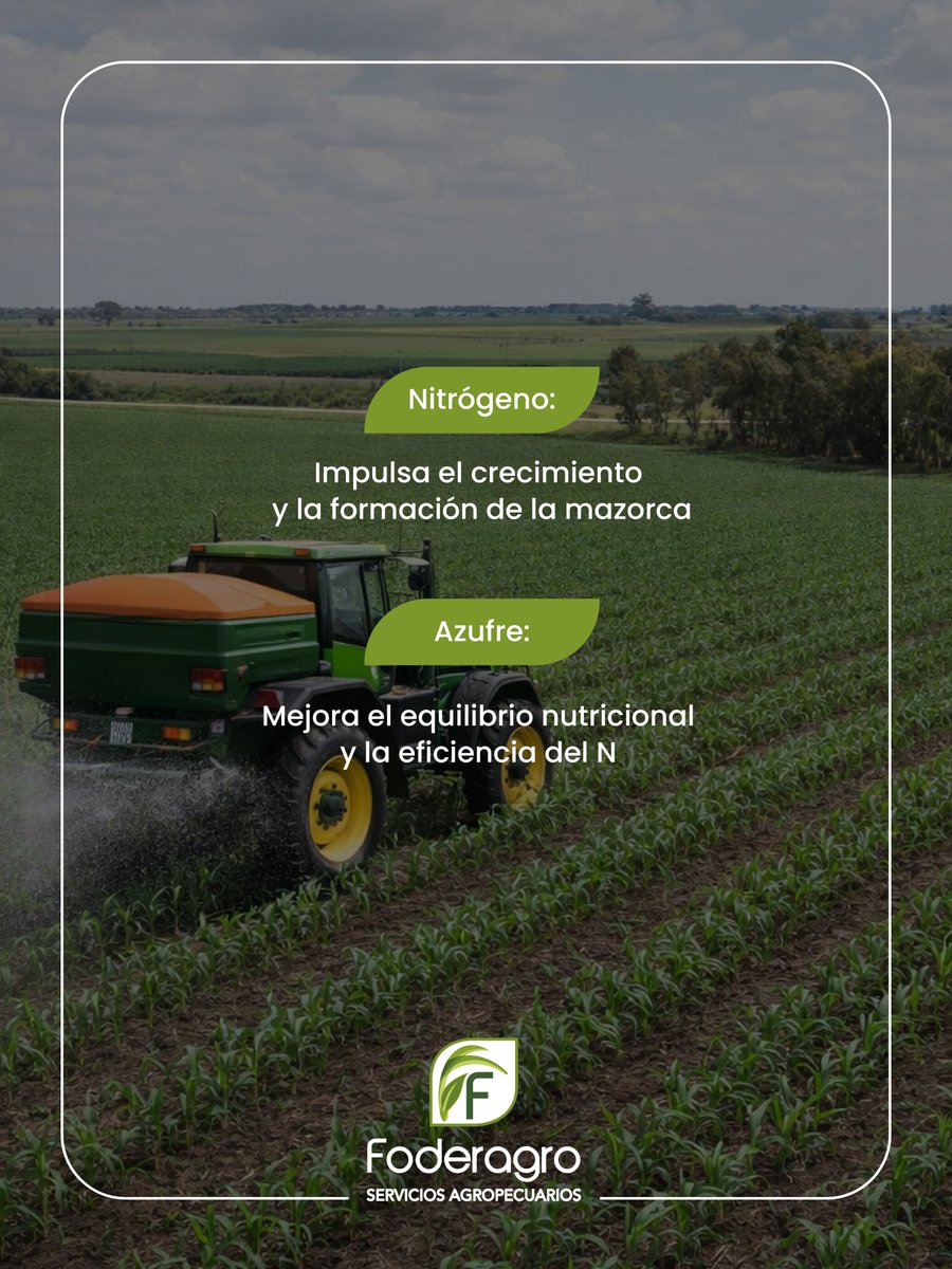 Foderagro Servicios Agropecuarios tweet media