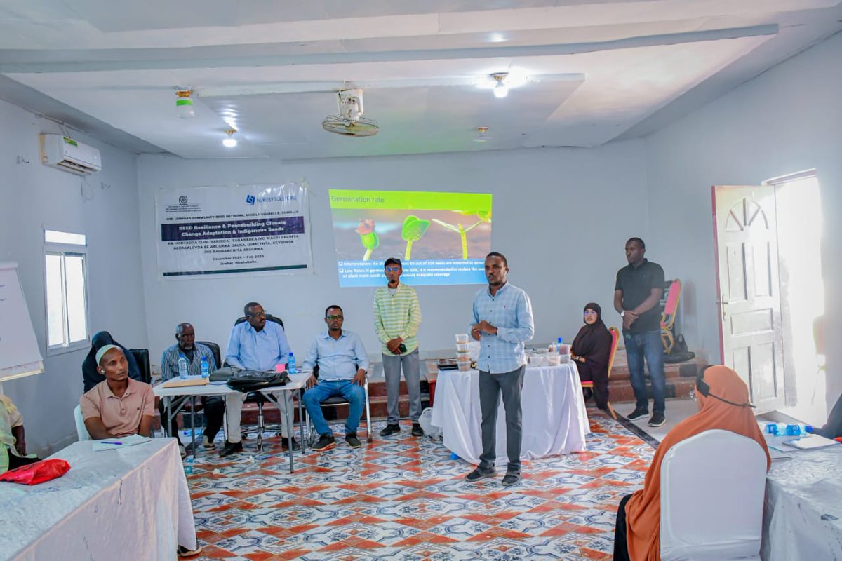 Nuros9Solutions's tweet photo. Jowhar Seed Savers’ network of 40 members presented local seeds from beans and maize to cassava and sugarcane, on labeling, germination and conservation. The session supports the Jowhar Seedbank on land provided by MOAI, with support from IOM Somalia. #SeedSecurity #Hirshabelle https://t.co/tPmTAPhKjm