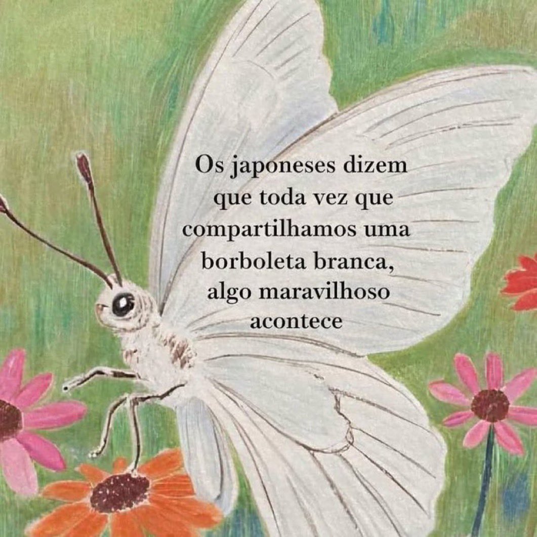 amandatarologa's tweet image. 