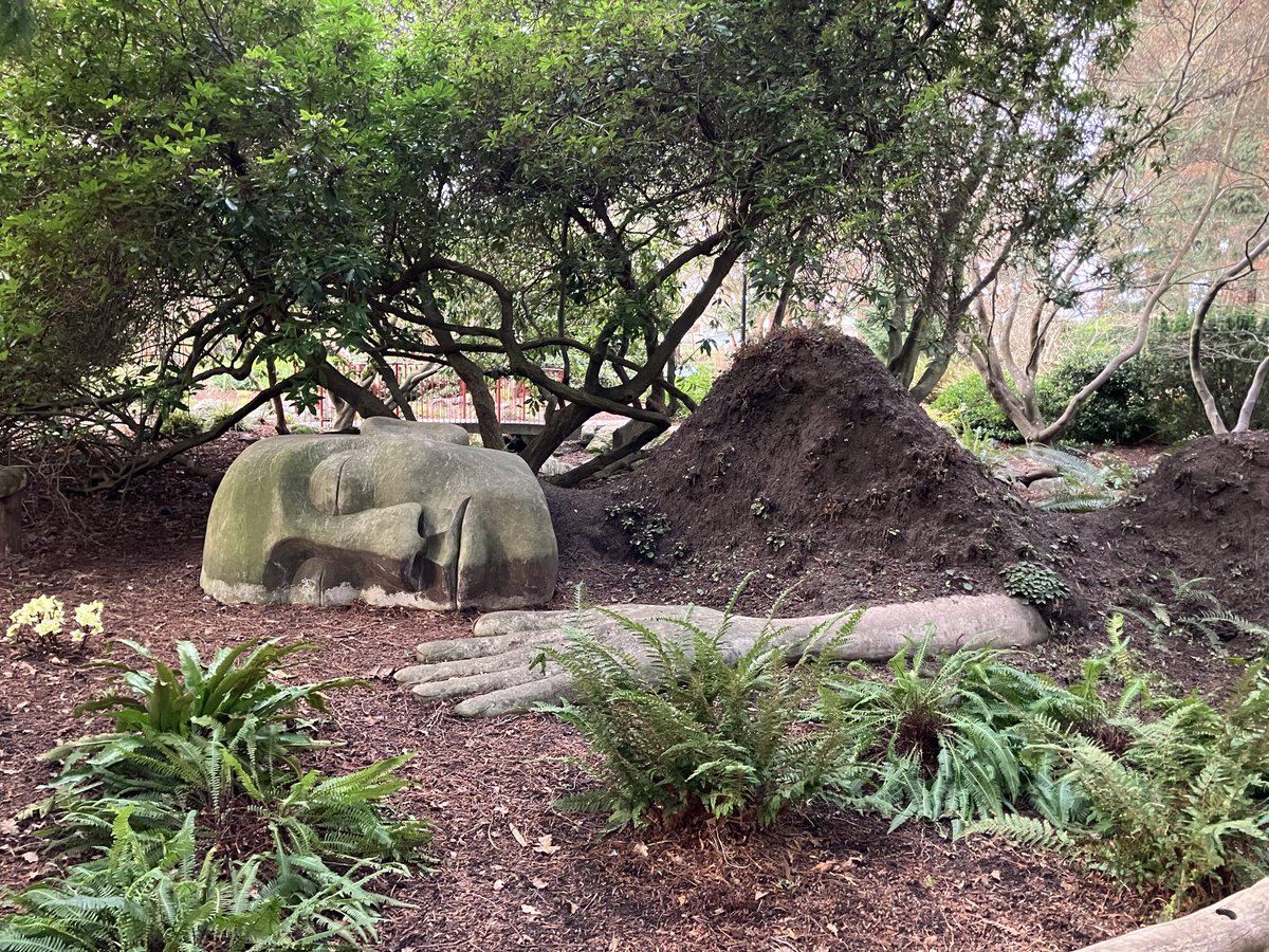 Lindo Lab tweet media