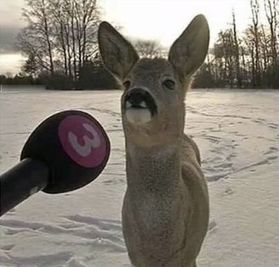 Everyone says I’m early.
Early to what, exactly?