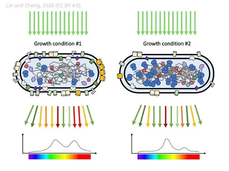 eLife - the journal tweet media