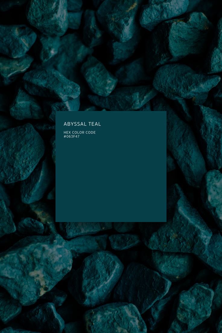 violettweets_'s tweet image. 1 or 2?