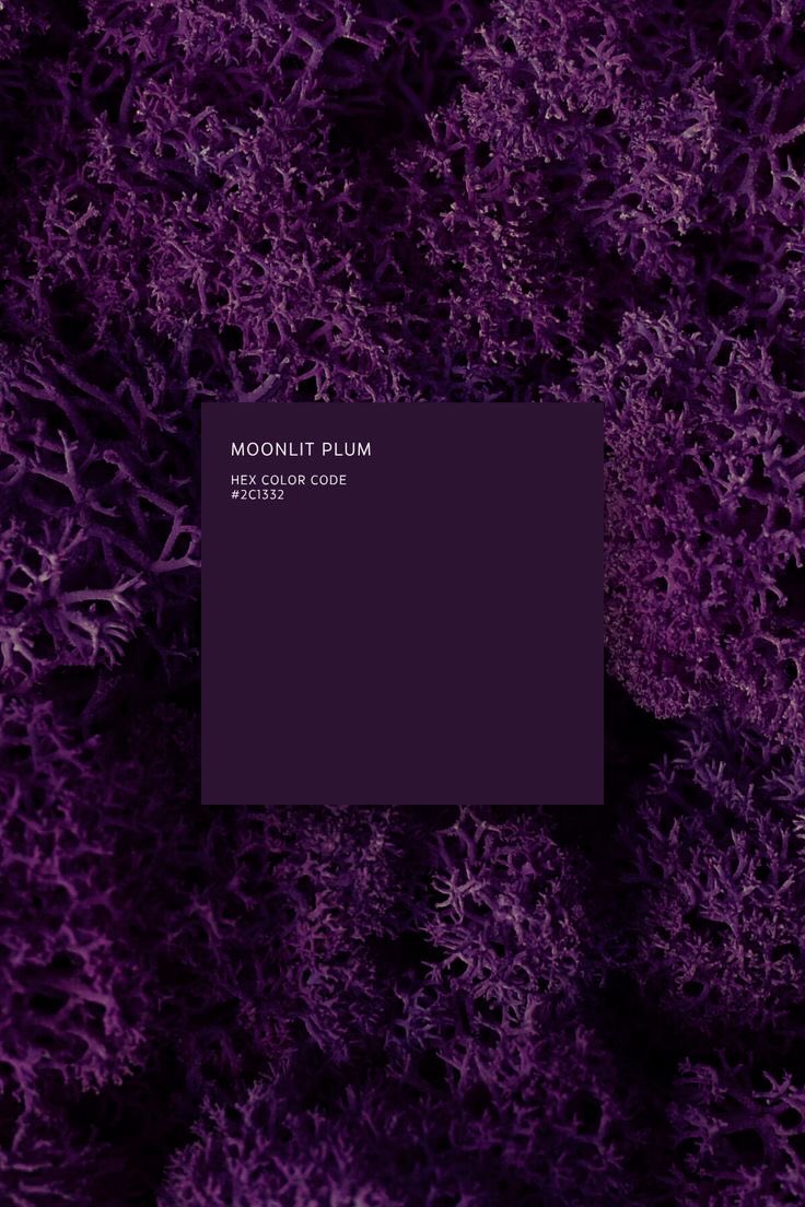 violettweets_'s tweet image. 1 or 2?