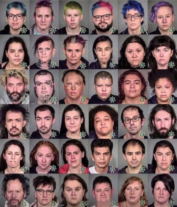 Liberal Hivemind (@LiberalHivemind) on X