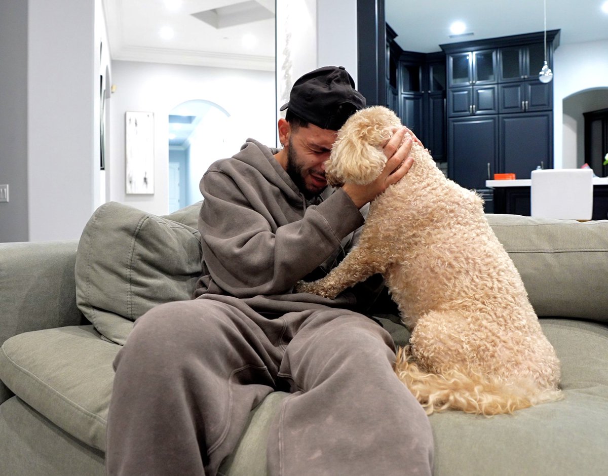 Brandon Awadis tweet media