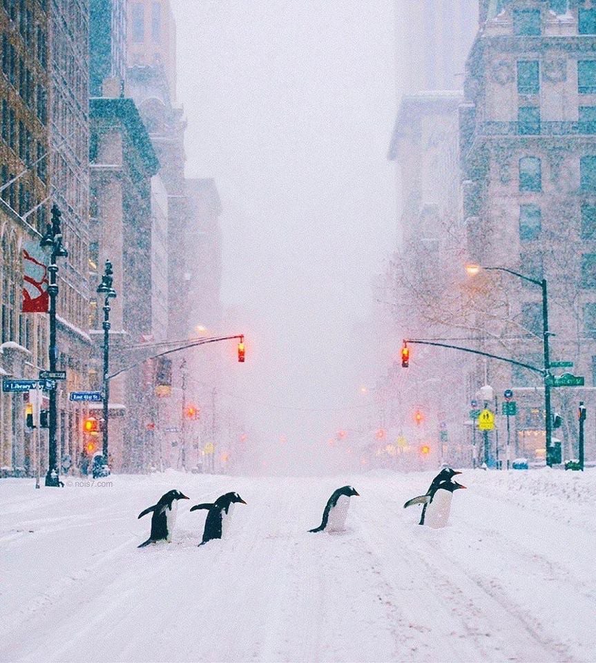 Irena Buzarewicz (@irenabuzarewicz) on Twitter photo 