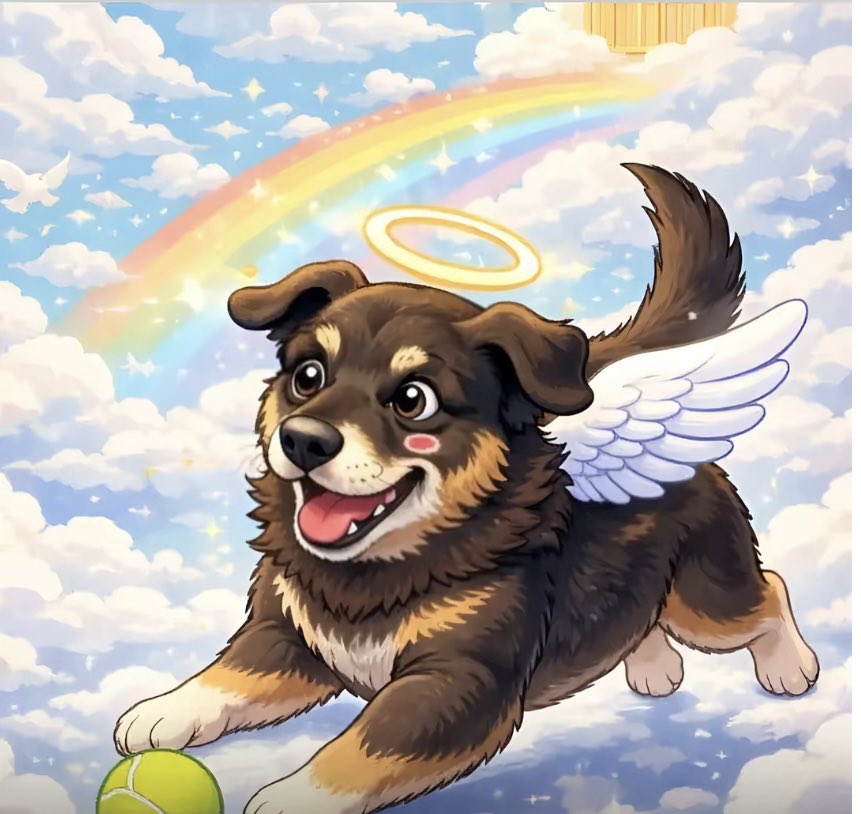 Desculpa, mas pra mim quem faz mal a vocês nunca vai ser considerada uma pessoa boa. 🖤