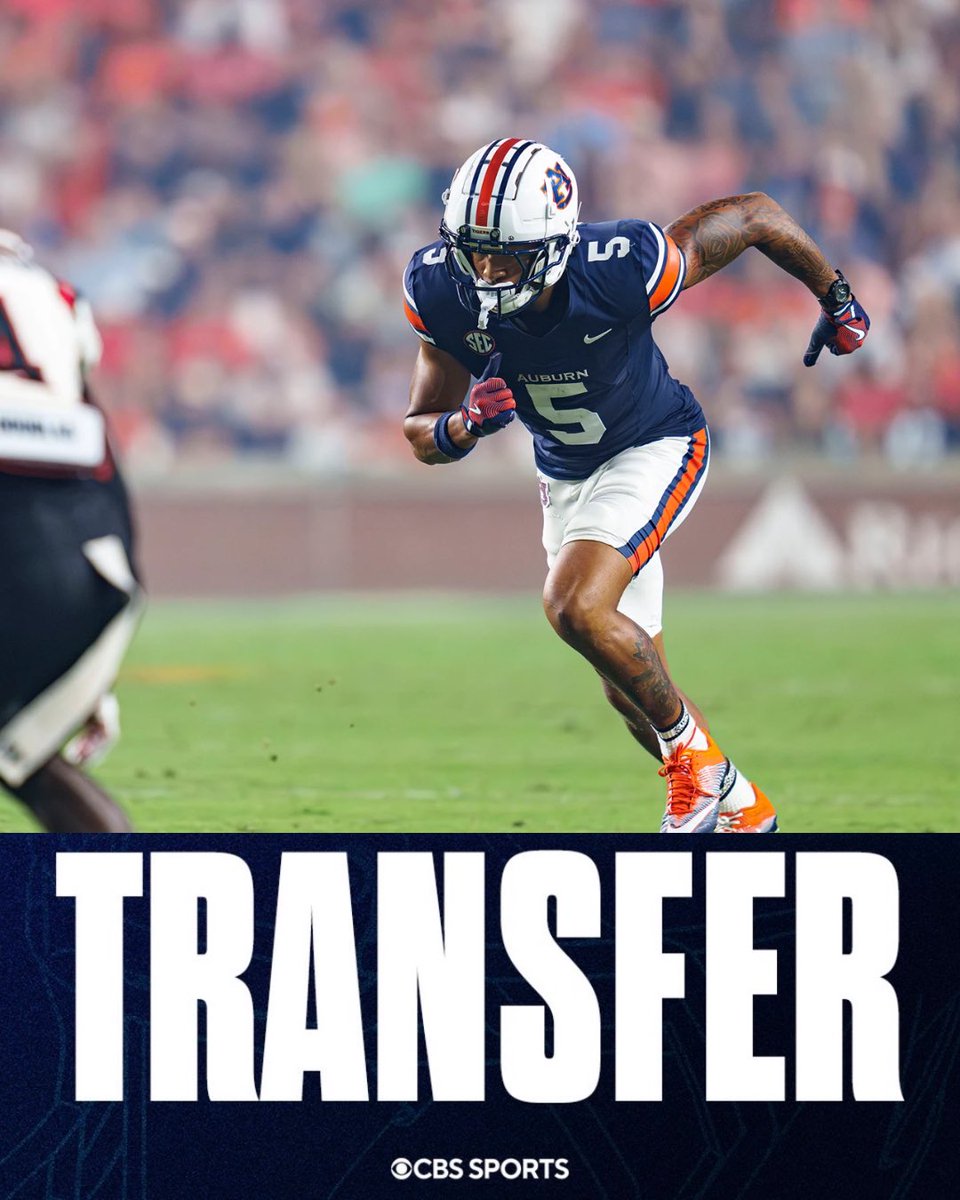 Matt Zenitz tweet media