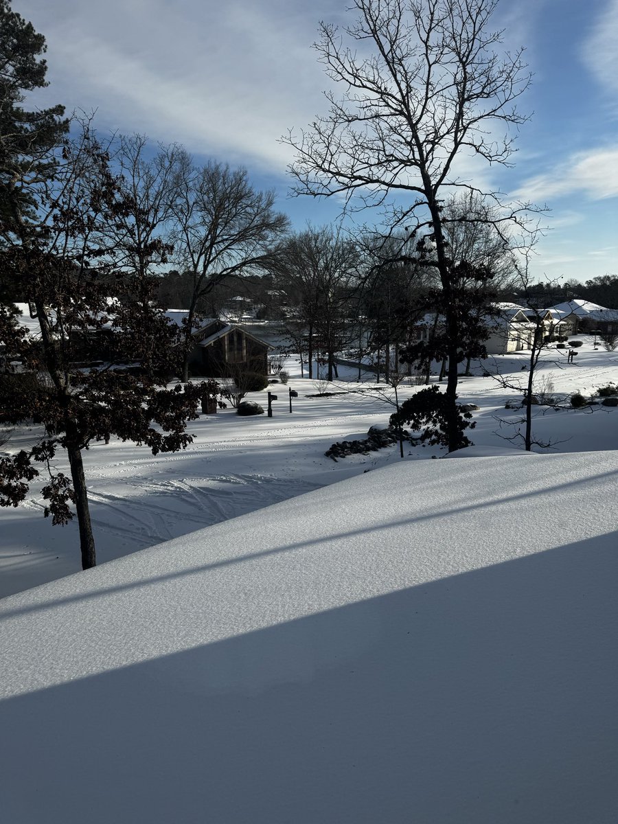 Emily Steiner Wright tweet media