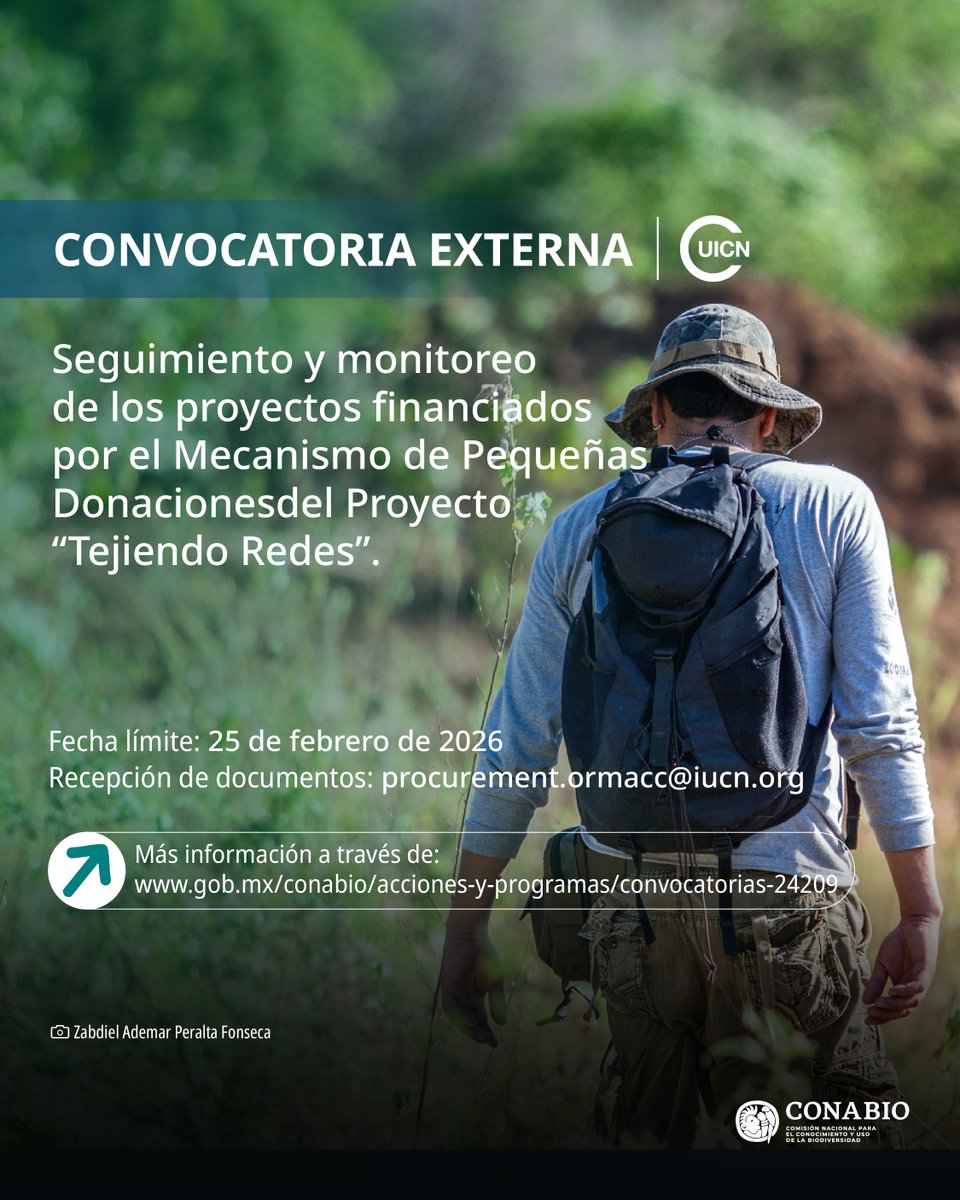 CONABIO's tweet photo. La @UICN_SUR , a través de la #CONABIO, busca expertos en el diseño y gestión de proyectos, para fortalecer la iniciativa "Tejiendo Redes". El objetivo es brindar apoyo, seguimiento y monitoreo a los proyectos para la conservación, los derechos humanos y la justicia ambiental de Mesoamérica, beneficiados a través del mecanismo de pequeñas donaciones.
El consultor o equipo seleccionado se encargará de:
🟢Supervisar y monitorear el avance de los proyectos que han recibido pequeñas donaciones bajo este programa.
🟢Fortalecer y asistir a las organizaciones beneficiarias para que logren sus resultados.
🟢Identificar y sistematizar los aprendizajes, buenas prácticas, y lecciones aprendidas.
📍 Actividad general: Supervisión técnica y acompañamiento de proyectos locales en territorios clave.
⏳ Duración: 9 meses.
🌎 Ámbito: Mesoamérica
👉 Consulta los detalles aquí: https://t.co/vulrLq6TO3
⏰Fecha límite: 25 de febrero de 2026
📩Recepción de documentos:
procurement.ormacc@iucn.org
¡Si tienes experiencia en gestión gestión de proyectos y trabajo con defensores ambientales, comunidades indígenas y comunicadores comunitarios, esta convocatoria es para ti!
#CONABIO #ConvocatoriaExterna #ConsultoríaAmbiental #UICN