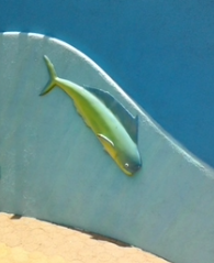 The Hawaiian term 'mahi mahi' for this fish seems to be used on the Mainland too.  That word, which means "strong", seems more appetizing than calling it 'dolphinfish.'