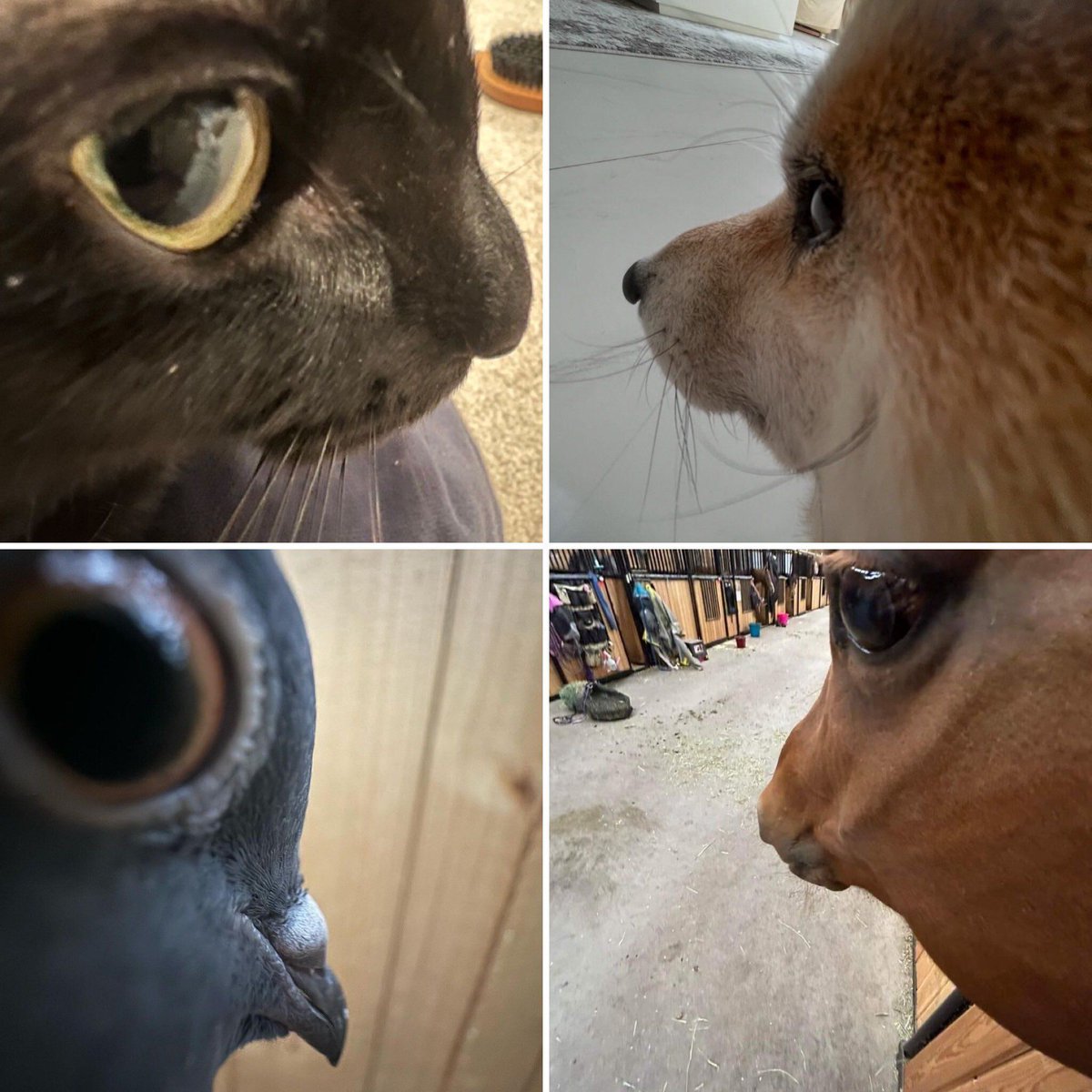 i love this silly angle