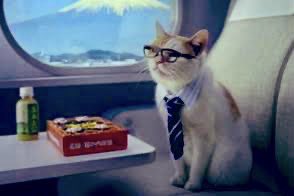 本日茨城出張。その後は東京に戻り、大学時代の後輩と飲みます。明日は休みだしもう休暇気分でおはようございます。