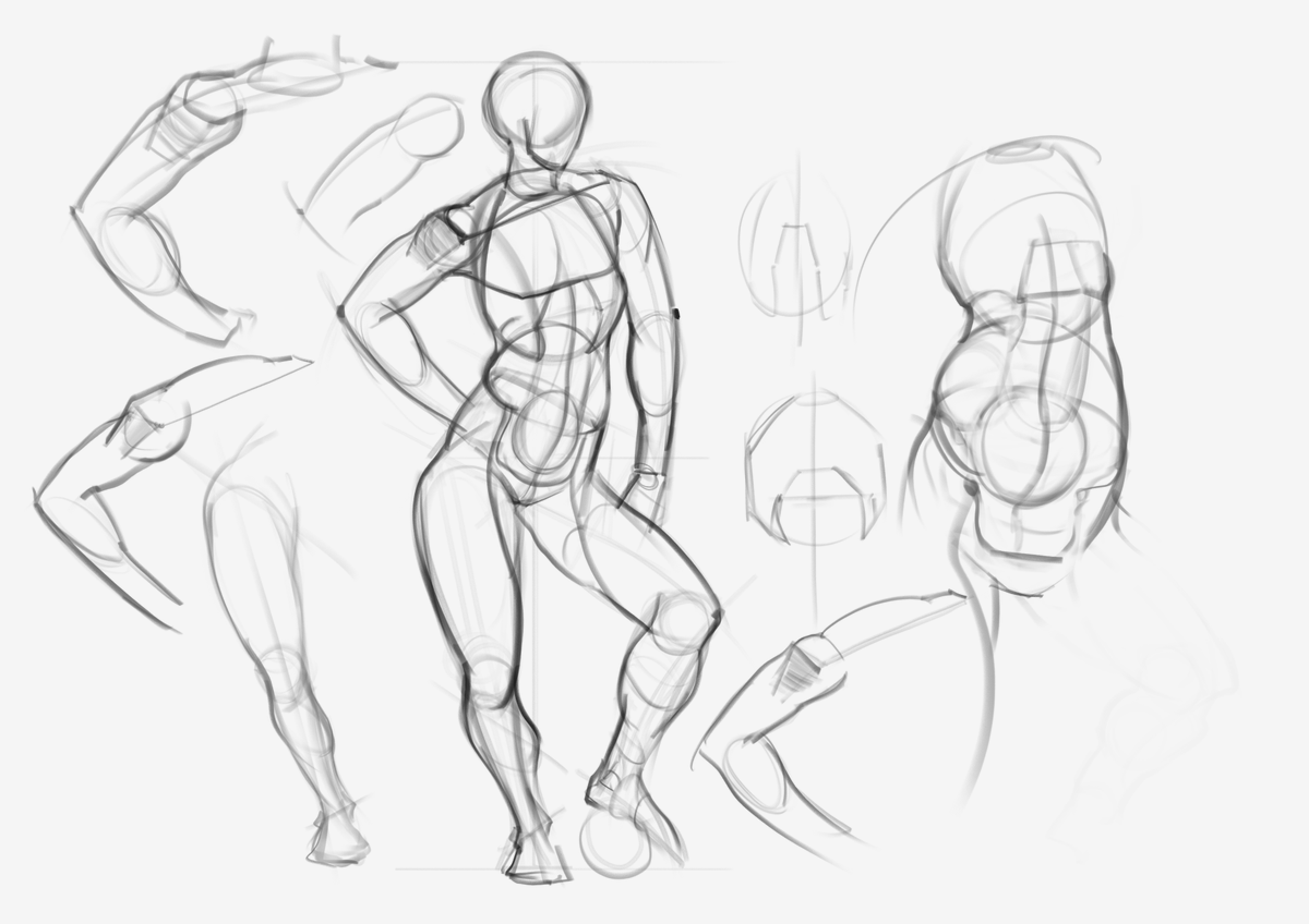 Alexandra Malygina Fler tweet media