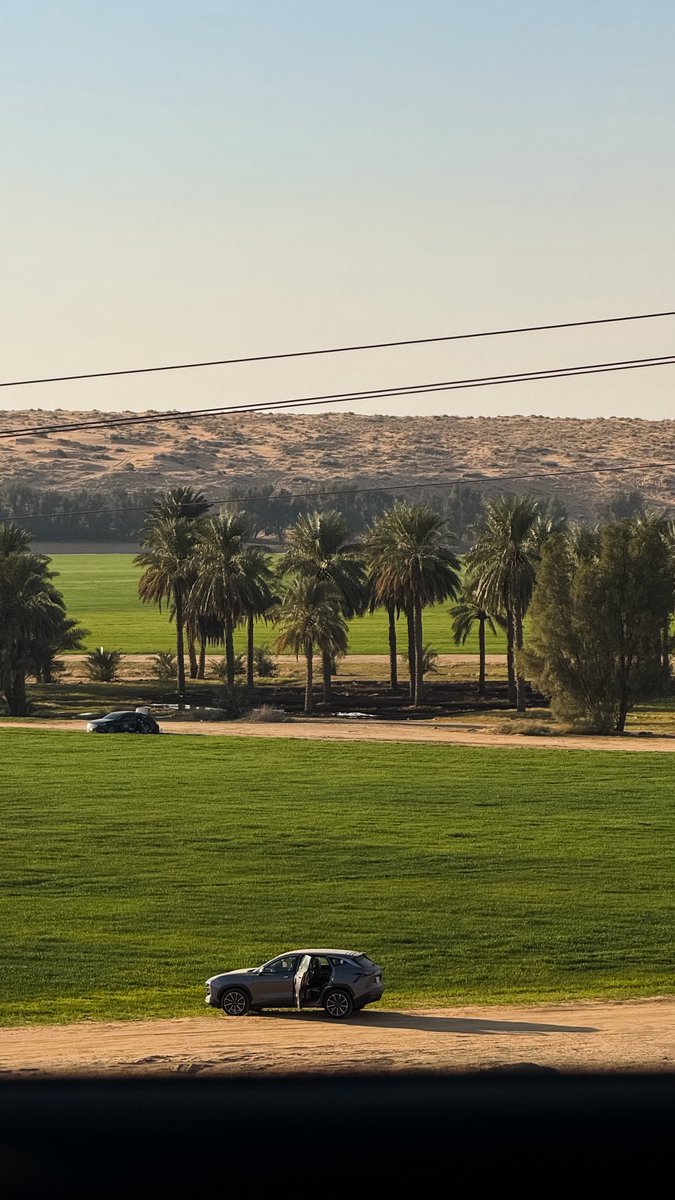 واحةً على الطريق 🌴