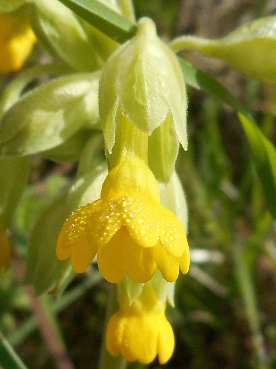 Alexa Wilson tweet media