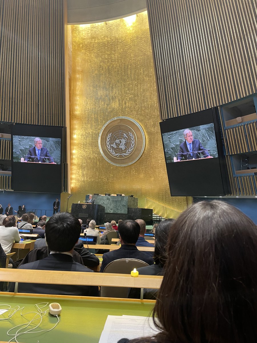 Denmark in UN NY🇩🇰 tweet media