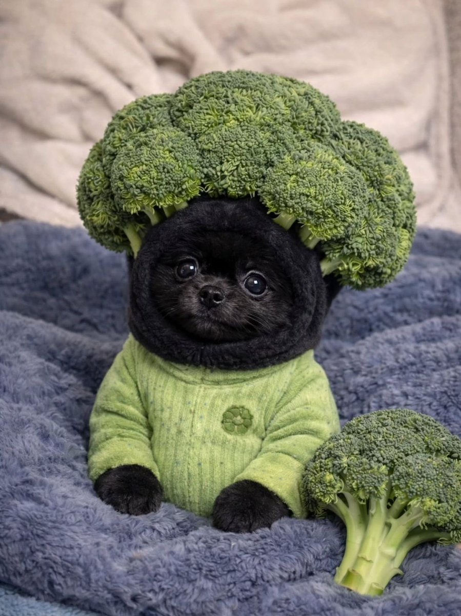 twaniimals's tweet image. 