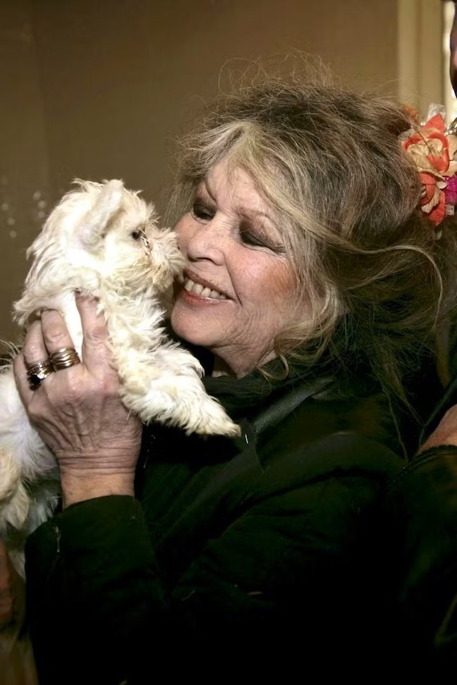 JEANNE MAS tweet media