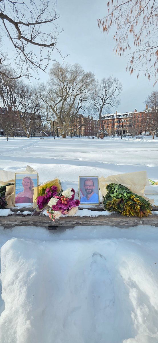 Only In Boston tweet media