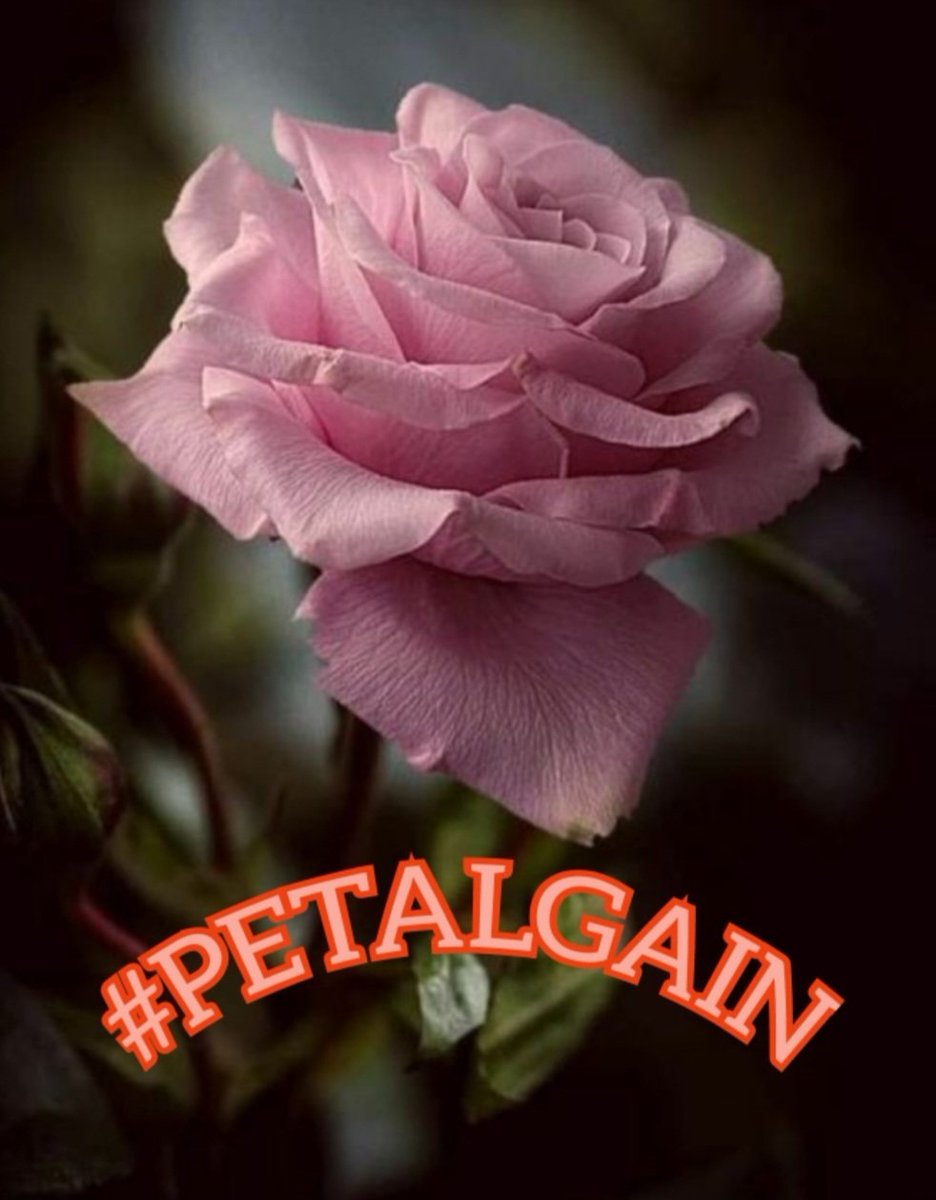 lumpie125 tweet media