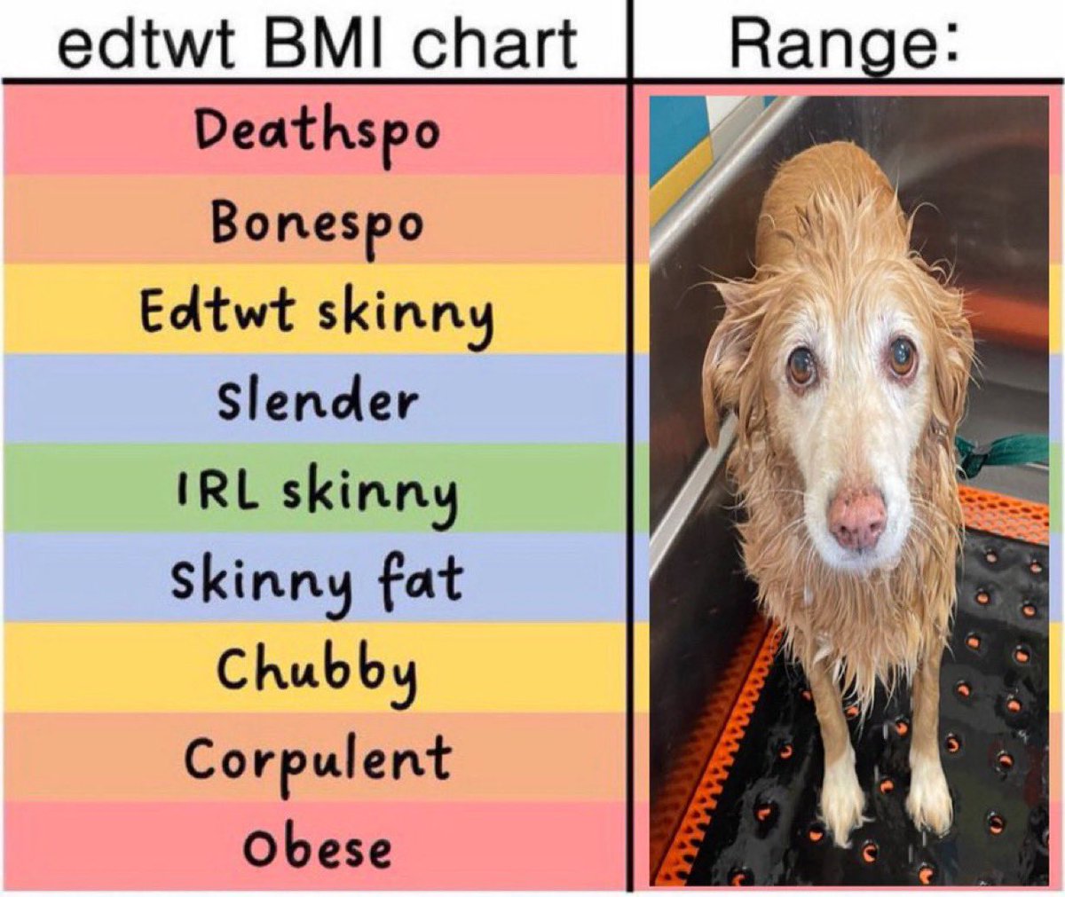Lylylimia's tweet photo. @myl1viinglegend @meltypafait Just let this chart die I see it every month whatever bro mine is better https://t.co/ThJmUB8Eum