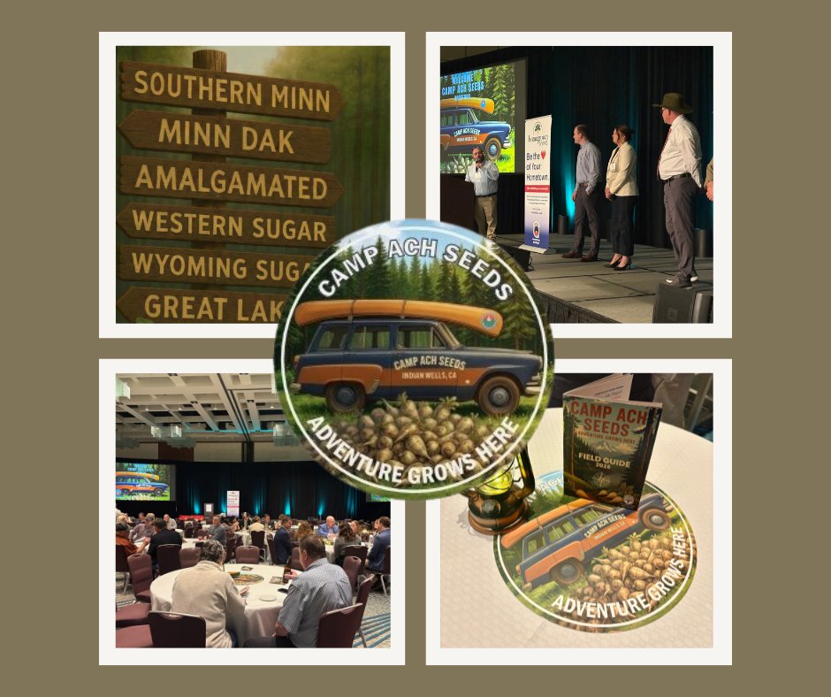 Crystal Beet Seed_ACH Seeds tweet media