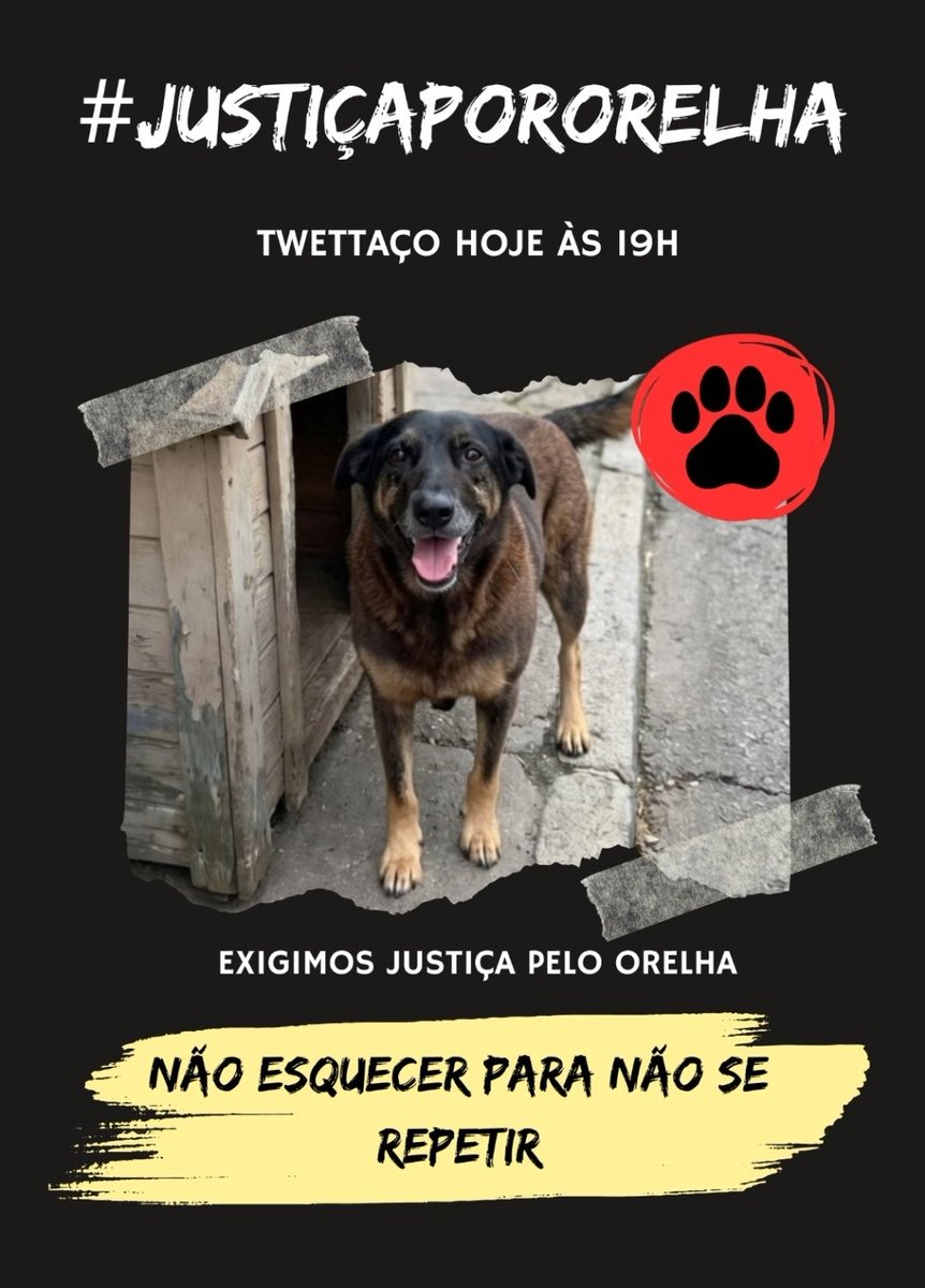 S1L3Nc1013's tweet photo. Começou gente, vamos subir a hashtag #justicapororelha https://t.co/fQMeozZObE