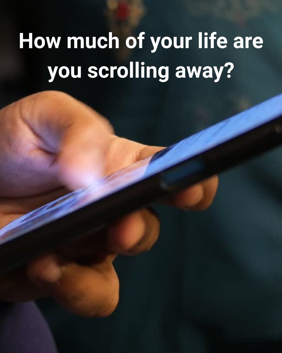 David Werdiger tweet media