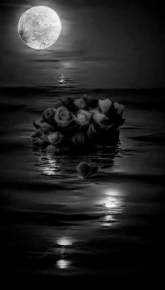 #الوتــر 

عَزَاؤنَـا أنَّهَا دُنيـا نُودِّعها ،

وكُـلُّ مَـنْ سَارَ فَوقَ الأرضِ مُرتَحِـلُ..!