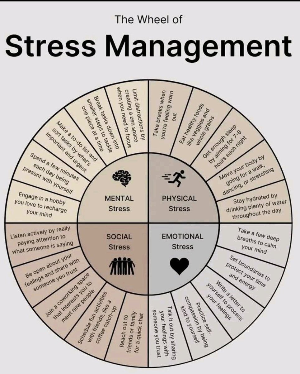 The Wheel of Stress Management