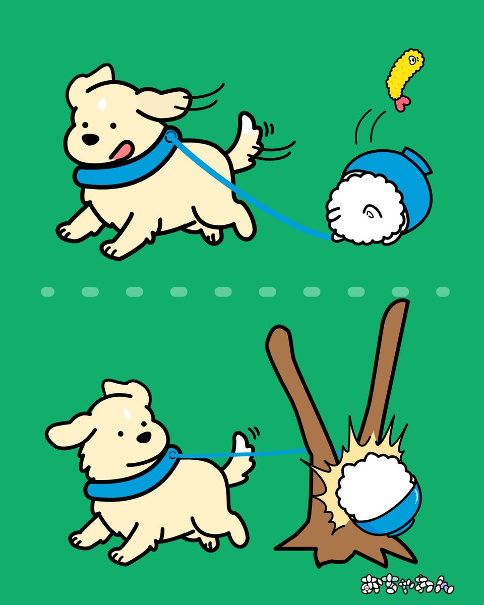 163膳目｜わんこはねこと遊びたい
#おちゃわん
#漫画
…実体験