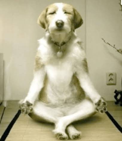 por cada peli de cultura que veo, veo diez capítulos de acapulco shore