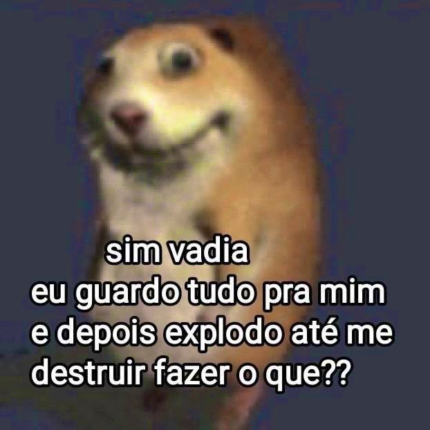 iamwillwill's tweet image. 