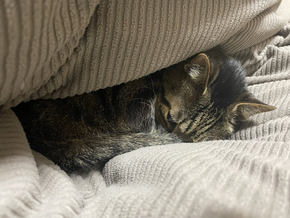 おはようございますラウドネスブラザーズ^_^