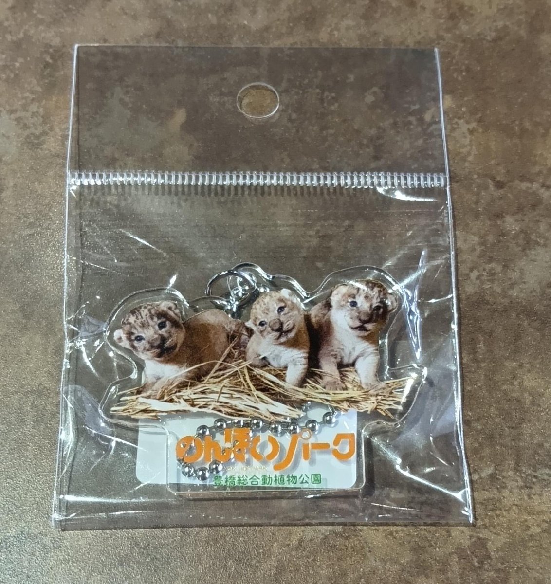 ライオンの赤ちゃんのアクキーかわいいいいいい！！ ＃のんほいパーク