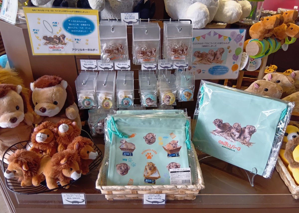 ライオンの赤ちゃんのアクキーかわいいいいいい！！ ＃のんほいパーク