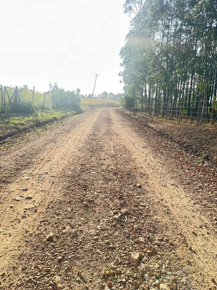 gladyswanga's tweet photo. We have officially opened 11.5 kilometers of new feeder roads, a transformative upgrade for transport, trade, and connectivity across Rangwe Subcounty. We also commissioned the Amoso Water Project in Kochia.

The newly commissioned routes of Kochoo-Nyawawa-Nyakuru in Gem West, Oneno-Amoso in Kochia, and Ogumo-West Gate-Nyando in Kagan are now enhancing the movement of people and goods, stimulating broad economic growth.