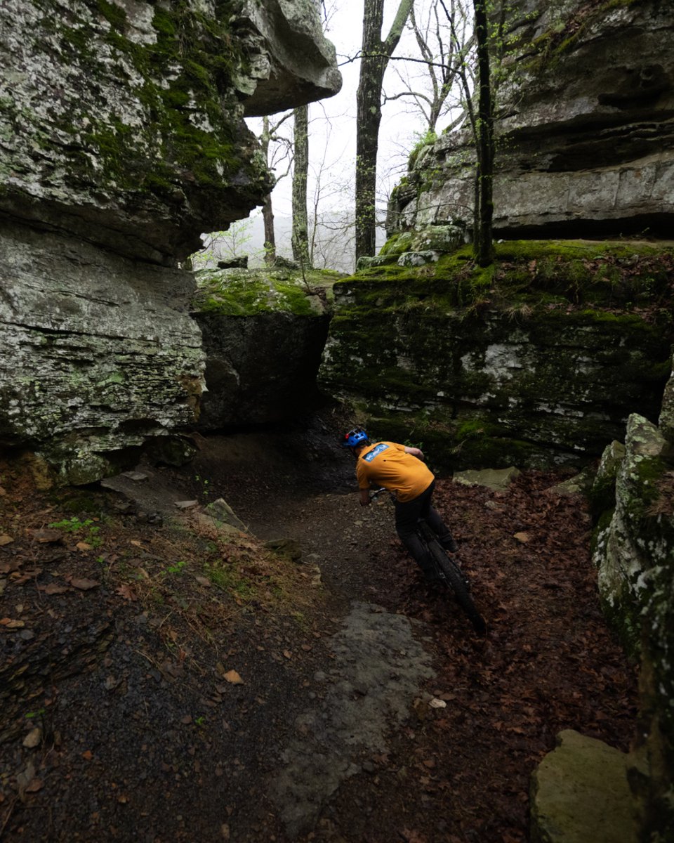 Arkansas State Parks tweet media